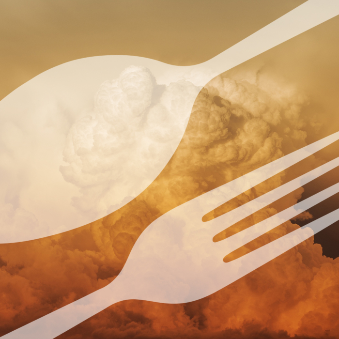 Bistro Airport logotyp case