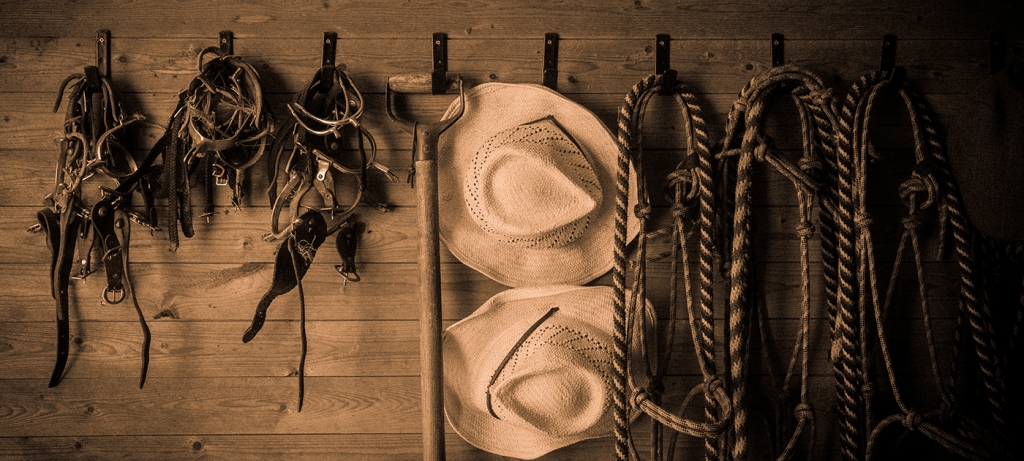 Case Ulvsby Ranch foto redskap