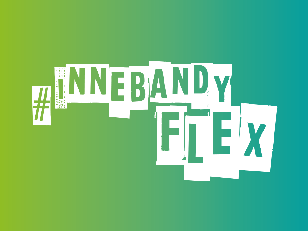 Bigtail case InnebandyFlex logo green background
